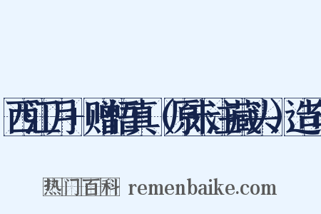 西江月+赠悟真（原未注藏头）造句是什么意思的图片